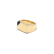 Load image into Gallery viewer, Jewel Beneath Signet Ring - Black Onyx, 24ct Gold Vermeil