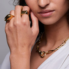 Load image into Gallery viewer, Jewel Beneath Signet Ring - Black Onyx, 24ct Gold Vermeil
