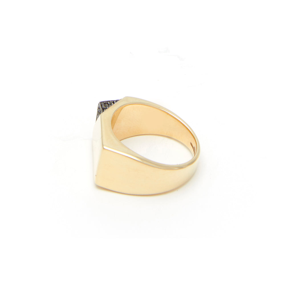 Jewel Beneath Black Diamond Signet Ring - made to order in 9kt, 14kt or 18kt yellow gold