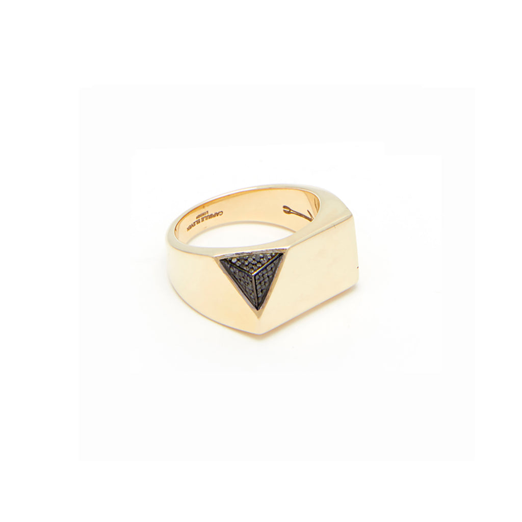 Jewel Beneath Black Diamond Signet Ring - made to order in 9kt, 14kt or 18kt yellow gold